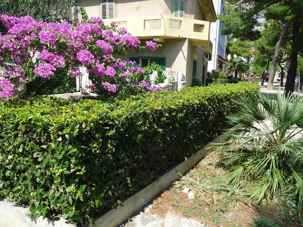 Omis Apartment On The Beach Dış mekan fotoğraf